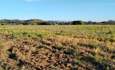 CAMPO 33,5 HA, PLANO, BUEN ACCESO,  SAN CLEMENTE, VII R