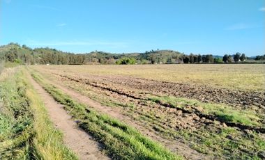 CAMPO 33,5 HA, PLANO, BUEN ACCESO,  SAN CLEMENTE, VII R