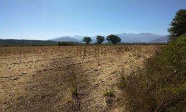 CAMPO DE 18,2 HA CON AGUA, 690 M DE FRENTE. PALMILLA VIR.