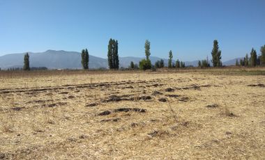 CAMPO DE 18,2 HA CON AGUA, 690 M DE FRENTE. PALMILLA VIR.
