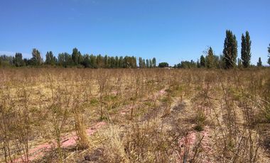 CAMPO DE 18,2 HA CON AGUA, 690 M DE FRENTE. PALMILLA VIR.