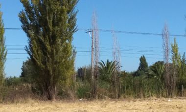 CAMPO DE 18,2 HA CON AGUA, 690 M DE FRENTE. PALMILLA VIR.