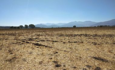 CAMPO DE 18,2 HA CON AGUA, 690 M DE FRENTE. PALMILLA VIR.