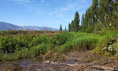 CAMPO DE 18,2 HA CON AGUA, 690 M DE FRENTE. PALMILLA VIR.