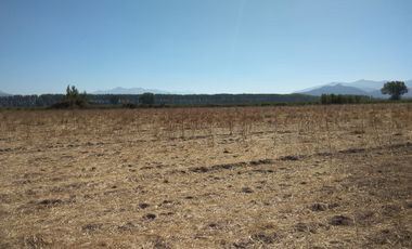 CAMPO DE 18,2 HA CON AGUA, 690 M DE FRENTE. PALMILLA VIR.
