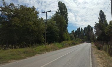 CAMPO DE 10 HA CON AGUA, ACCESO PAVIMENTADO. PICHIDEGUA VIR.