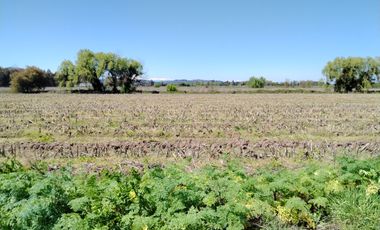 CAMPO 24 HA, ABUNDANTE AGUA, EXCELENTE ACCESO, VILLA ALEGRE
