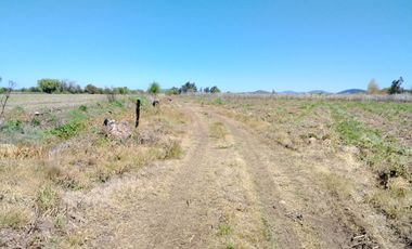 CAMPO 24 HA, ABUNDANTE AGUA, EXCELENTE ACCESO, VILLA ALEGRE