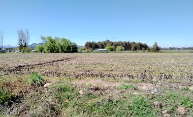 CAMPO 24 HA, ABUNDANTE AGUA, EXCELENTE ACCESO, VILLA ALEGRE