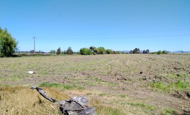 CAMPO 24 HA, ABUNDANTE AGUA, EXCELENTE ACCESO, VILLA ALEGRE