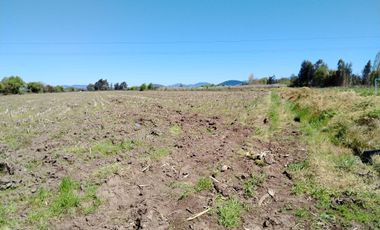 CAMPO 24 HA, ABUNDANTE AGUA, EXCELENTE ACCESO, VILLA ALEGRE