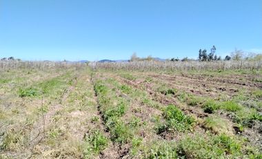 CAMPO 24 HA, ABUNDANTE AGUA, EXCELENTE ACCESO, VILLA ALEGRE