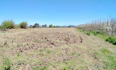 CAMPO 24 HA, ABUNDANTE AGUA, EXCELENTE ACCESO, VILLA ALEGRE