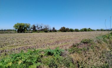 CAMPO 24 HA, ABUNDANTE AGUA, EXCELENTE ACCESO, VILLA ALEGRE