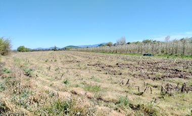 CAMPO 24 HA, ABUNDANTE AGUA, EXCELENTE ACCESO, VILLA ALEGRE