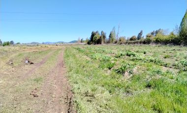 CAMPO 24 HA, ABUNDANTE AGUA, EXCELENTE ACCESO, VILLA ALEGRE