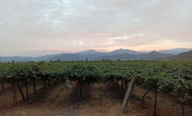 CAMPO 63,8 HA , PLANO, AGUA, PAVIMENTO, TENO, VII R