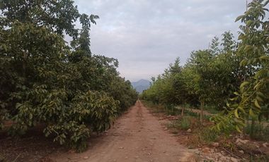 CAMPO 63,8 HA , PLANO, AGUA, PAVIMENTO, TENO, VII R