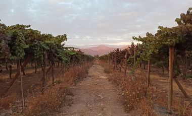 CAMPO 63,8 HA , PLANO, AGUA, PAVIMENTO, TENO, VII R