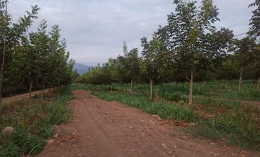 CAMPO 63,8 HA , PLANO, AGUA, PAVIMENTO, TENO, VII R