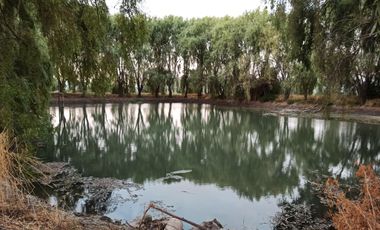 CAMPO 63,8 HA , PLANO, AGUA, PAVIMENTO, TENO, VII R