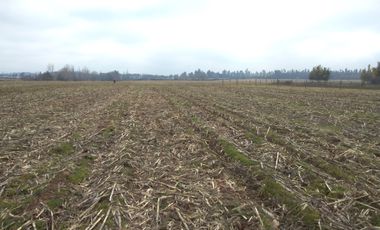 CAMPO 27 HA , PLANO, AGUA, PAVIMENTO, TALCA, VII R