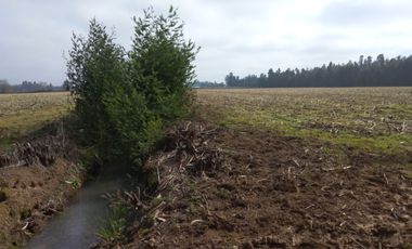 CAMPO 27 HA , PLANO, AGUA, PAVIMENTO, TALCA, VII R