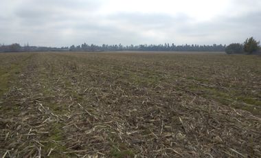 CAMPO 27 HA , PLANO, AGUA, PAVIMENTO, TALCA, VII R