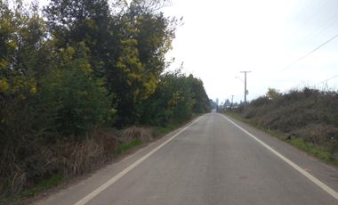 CAMPO 27 HA , PLANO, AGUA, PAVIMENTO, TALCA, VII R