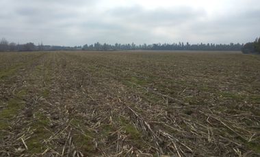 CAMPO 27 HA , PLANO, AGUA, PAVIMENTO, TALCA, VII R
