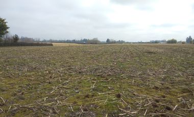 CAMPO 27 HA , PLANO, AGUA, PAVIMENTO, TALCA, VII R