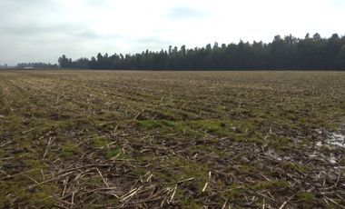 CAMPO 27 HA , PLANO, AGUA, PAVIMENTO, TALCA, VII R