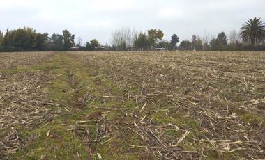 CAMPO 27 HA , PLANO, AGUA, PAVIMENTO, TALCA, VII R