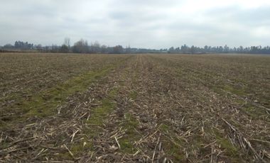 CAMPO 27 HA , PLANO, AGUA, PAVIMENTO, TALCA, VII R