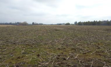 CAMPO 27 HA , PLANO, AGUA, PAVIMENTO, TALCA, VII R