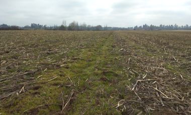 CAMPO 27 HA , PLANO, AGUA, PAVIMENTO, TALCA, VII R