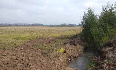 CAMPO 27 HA , PLANO, AGUA, PAVIMENTO, TALCA, VII R