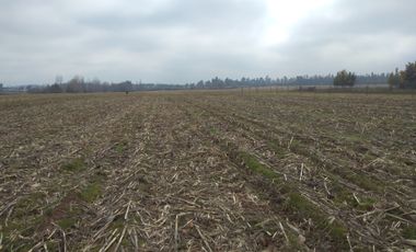 CAMPO 27 HA , PLANO, AGUA, PAVIMENTO, TALCA, VII R