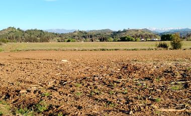 33,5 HA - CAMPO AGRÍCOLA EN VENTA, SAN CLEMENTE