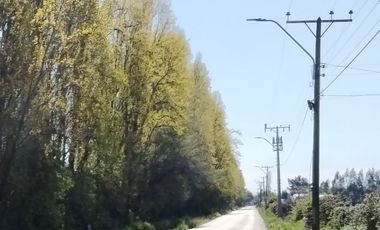 33,5 HA - CAMPO AGRÍCOLA EN VENTA, SAN CLEMENTE