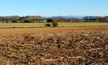 33,5 HA - CAMPO AGRÍCOLA EN VENTA, SAN CLEMENTE
