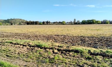 33,5 HA - CAMPO AGRÍCOLA EN VENTA, SAN CLEMENTE
