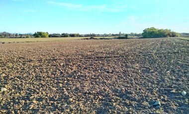 33,5 HA - CAMPO AGRÍCOLA EN VENTA, SAN CLEMENTE