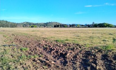 33,5 HA - CAMPO AGRÍCOLA EN VENTA, SAN CLEMENTE