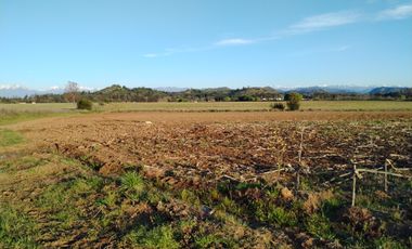 33,5 HA - CAMPO AGRÍCOLA EN VENTA, SAN CLEMENTE