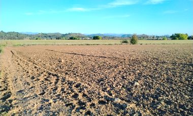 33,5 HA - CAMPO AGRÍCOLA EN VENTA, SAN CLEMENTE