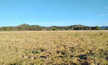 33,5 HA - CAMPO AGRÍCOLA EN VENTA, SAN CLEMENTE