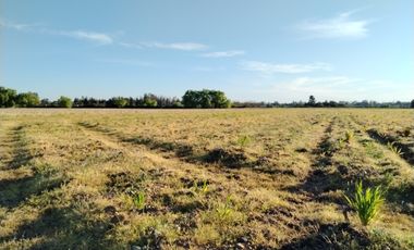 33,5 HA - CAMPO AGRÍCOLA EN VENTA, SAN CLEMENTE