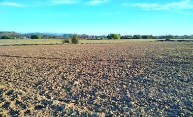 33,5 HA - CAMPO AGRÍCOLA EN VENTA, SAN CLEMENTE