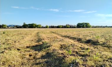 33,5 HA - CAMPO AGRÍCOLA EN VENTA, SAN CLEMENTE